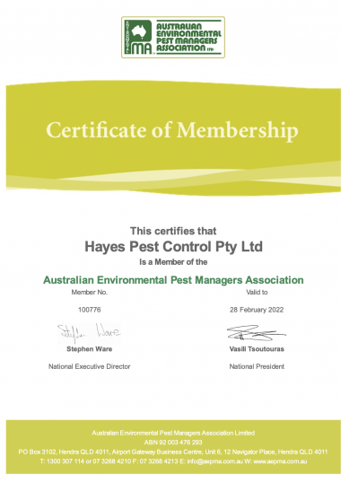 AEPMA Certificate image